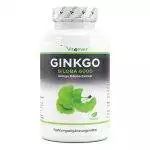 Ginkgo Biloba 6000 mg - Speciaal Ginkgo-extract - 365 tabletten