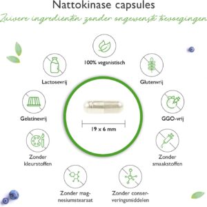 Nattokinase - 180 capsules met elk 100 mg (20.000 FU/g) - 6 maanden voorraad - laboratorium getest - hoge dosering - veganistisch - van GMO-vrije soja - zonder ongewenste toevoegingen - Vit4ever zonder toevoegingen